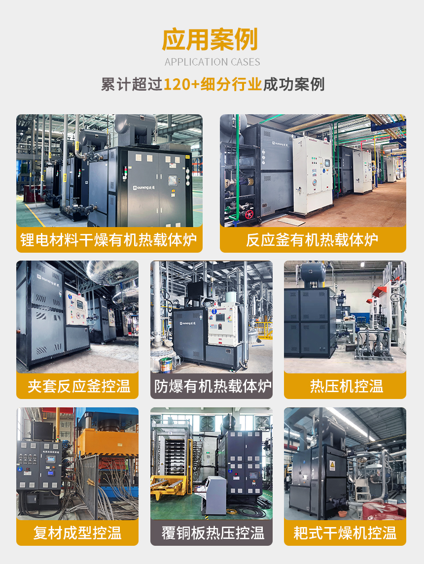 300℃有機(jī)熱載體鍋爐案例